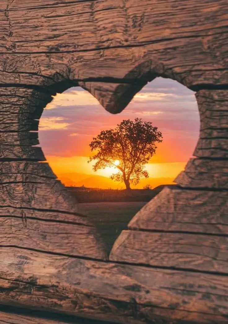 Beautiful Pictures For Dp