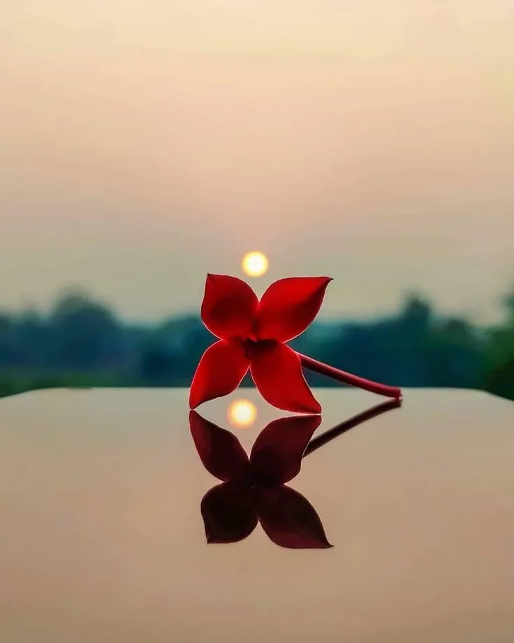 Beautiful Pictures For Dp