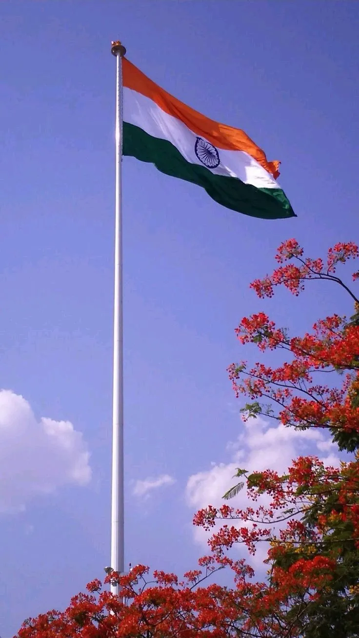Flag Of India Dp Images