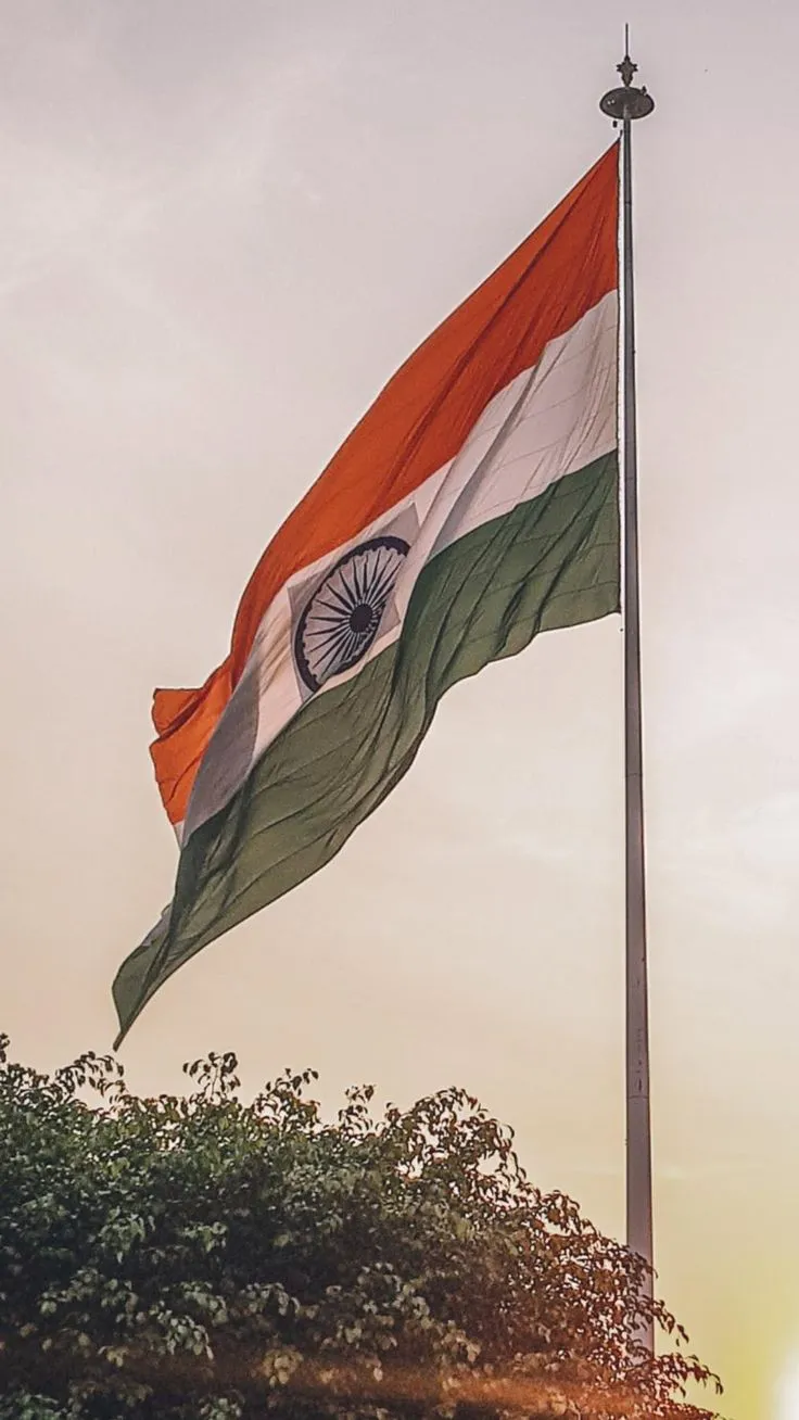 Flag Of India Dp Images