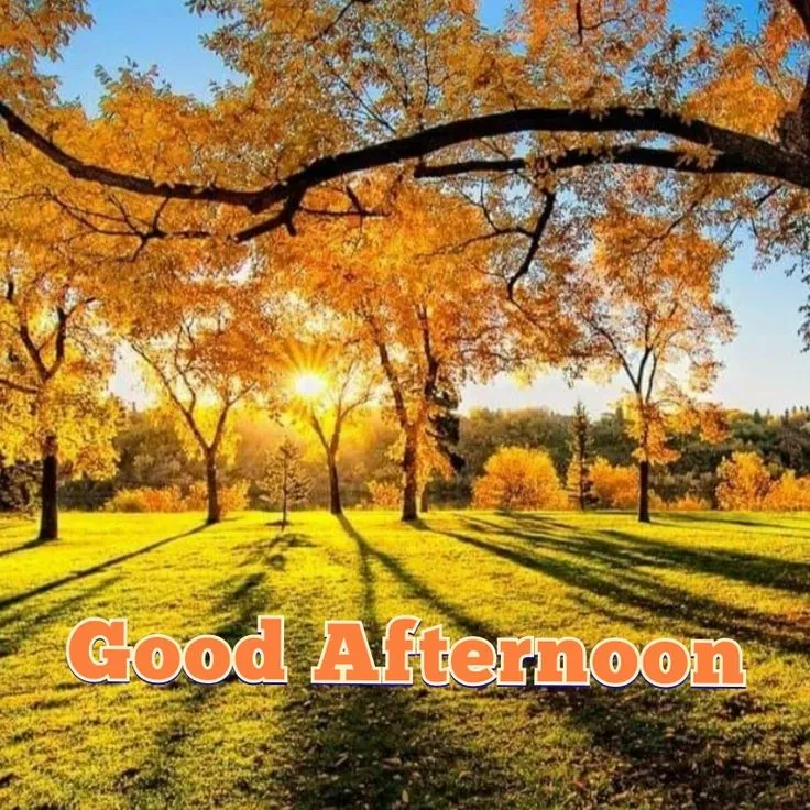 Good Afternoon Images