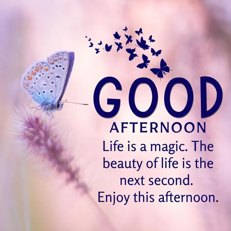 Good Afternoon Images With Quotes