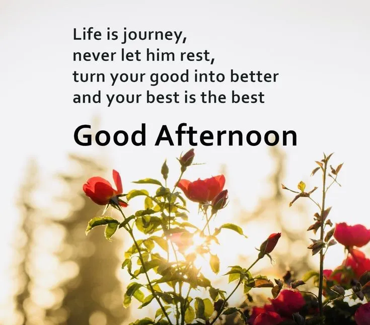 Good Afternoon Images With Quotes