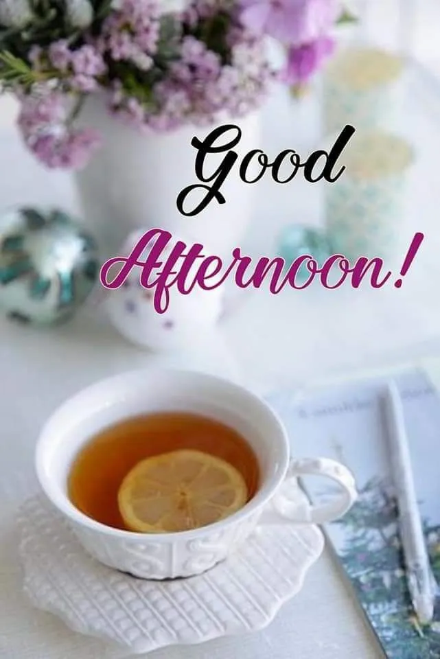 Good Afternoon Pic