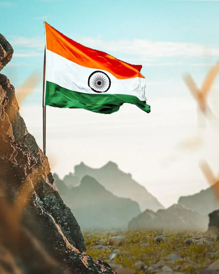 Indian National Flag Pic