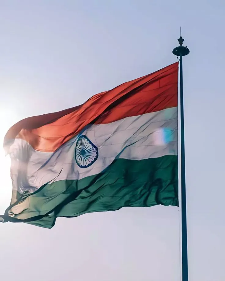 Indian National Flag Pic