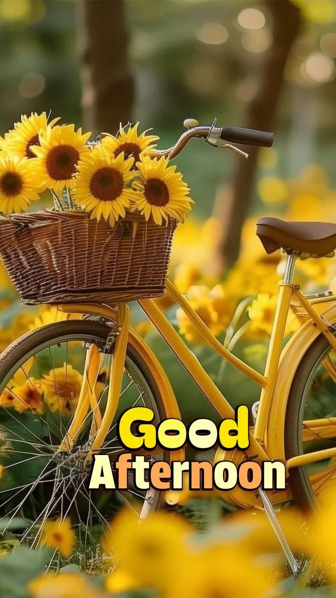 Whatsapp Good Afternoon Images