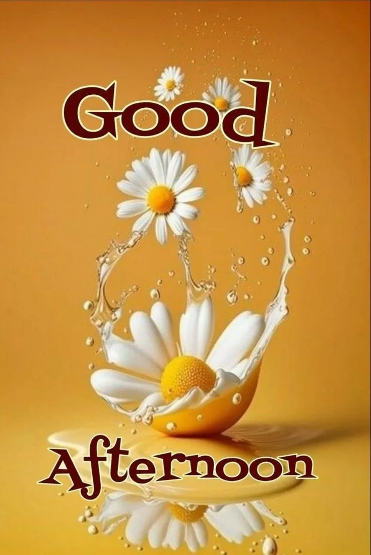 Whatsapp Good Afternoon Images