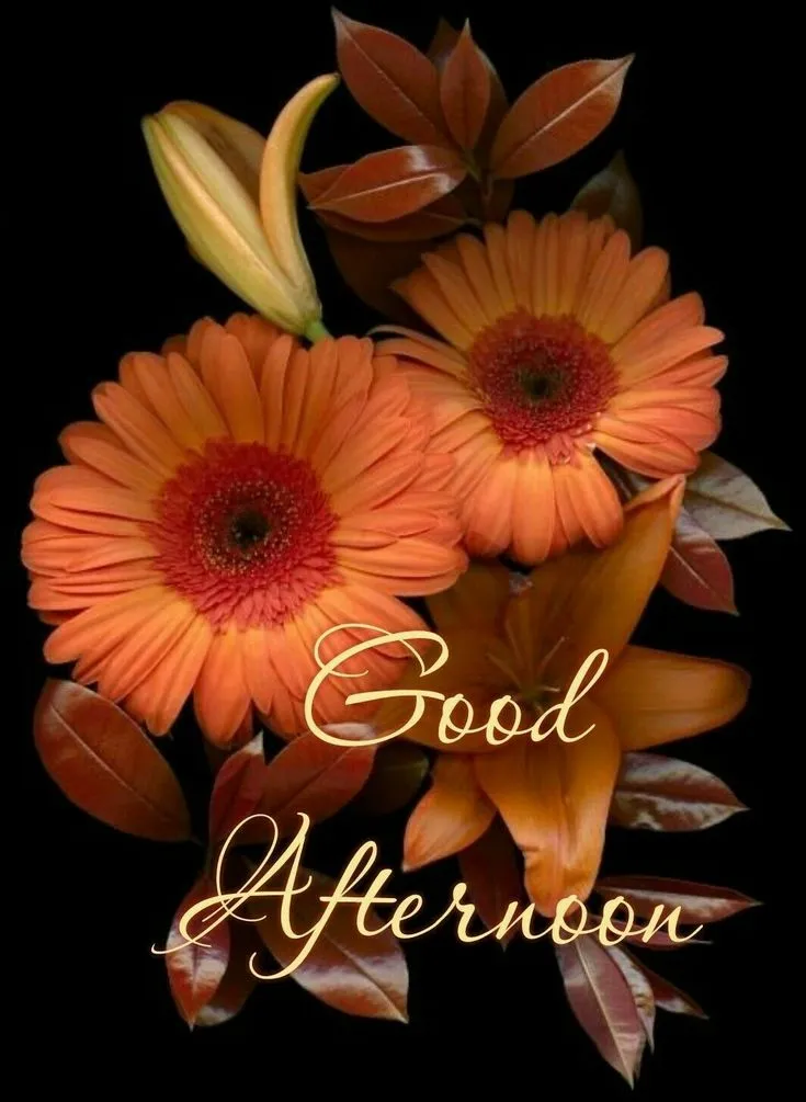 Whatsapp Good Afternoon Images